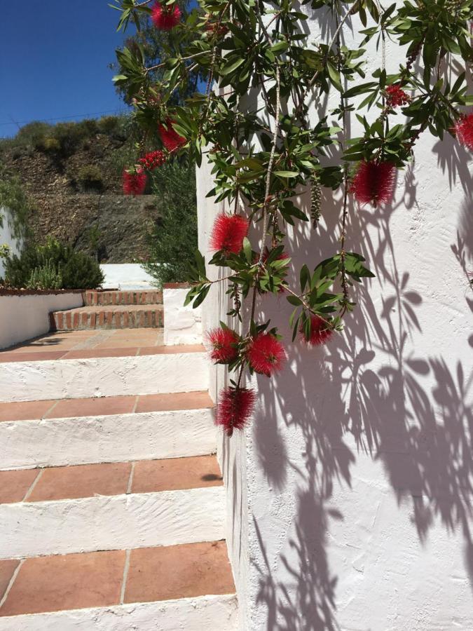 Apartments Cortijo La Zapatera Canillas de Aceituno Luaran gambar