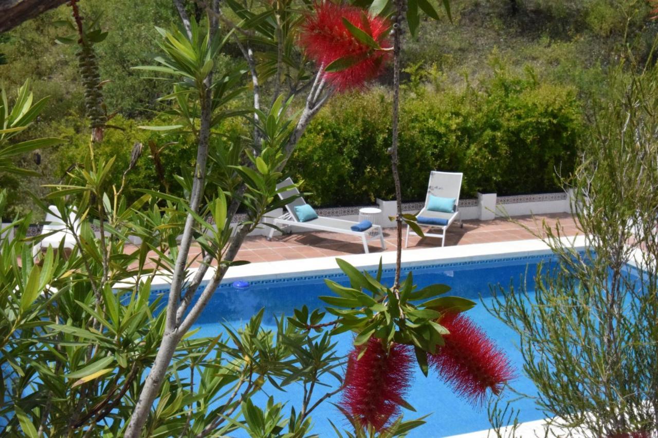 B&B And Apartments Cortijo La Zapatera Canillas de Aceituno Luaran gambar