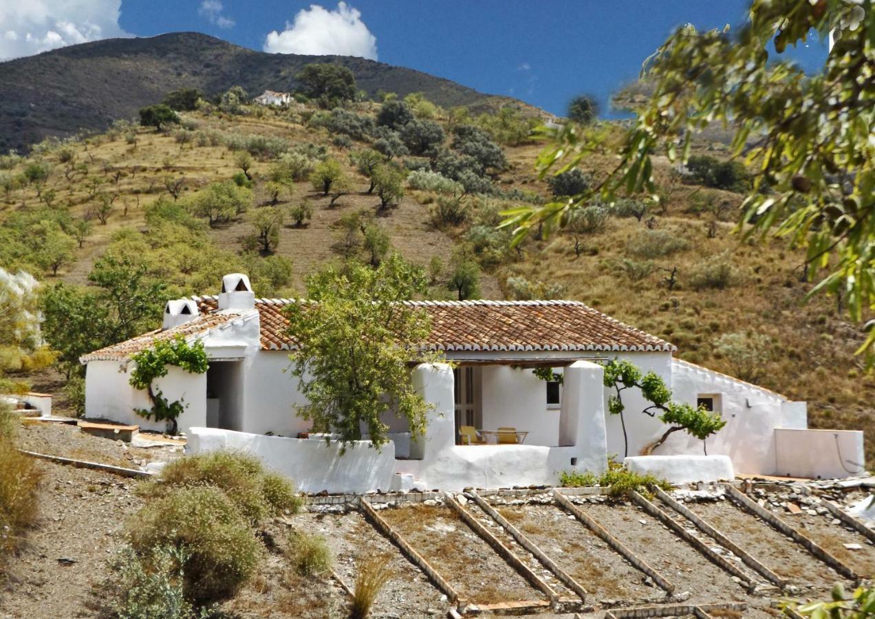 B&B And Apartments Cortijo La Zapatera Canillas de Aceituno Luaran gambar
